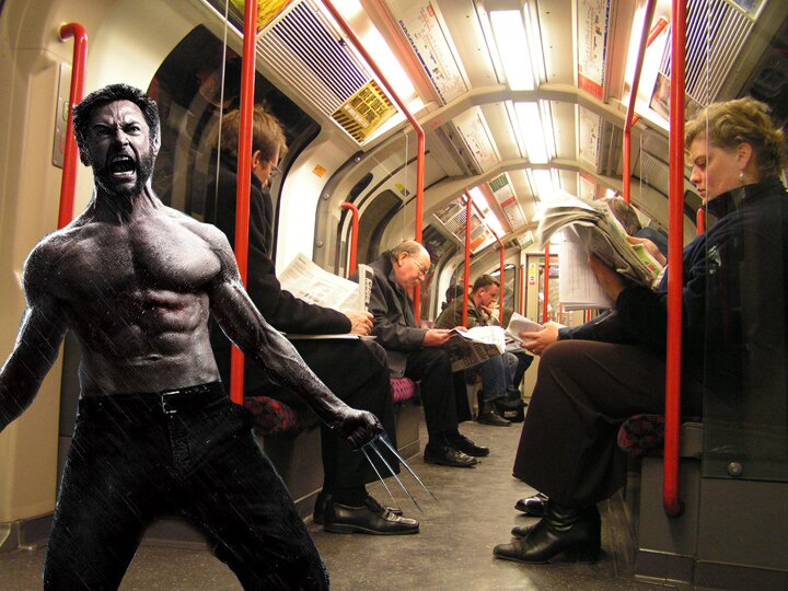 Wolverine Central Line