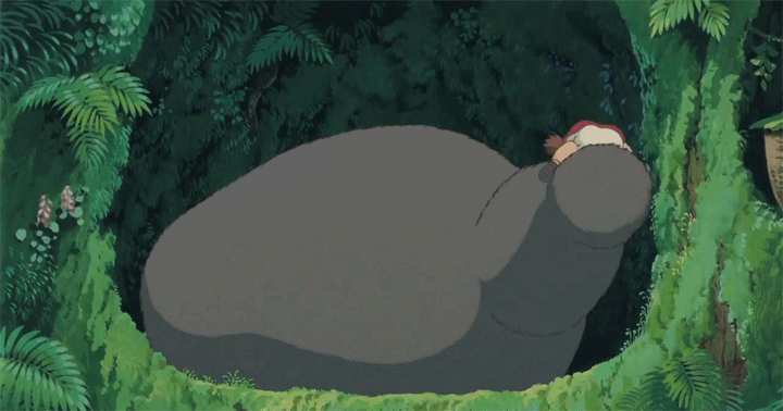 Totoro GIF