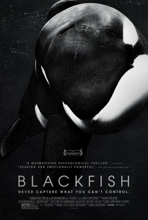 Blackfish poster - documentary