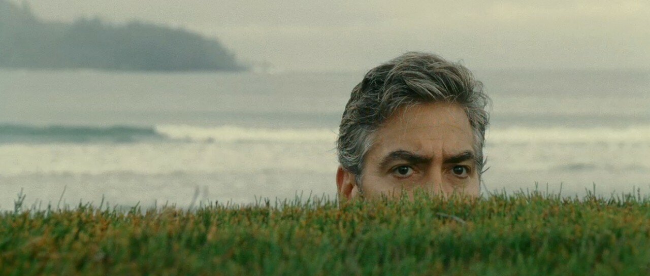 George Clooney looking over a hedge