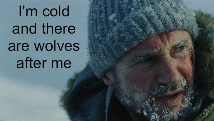 Liam Neeson, The Grey - I'm cold and there are wolves after me