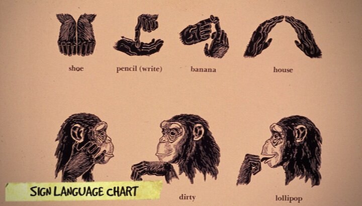 Project Nim, chimp sign language chart