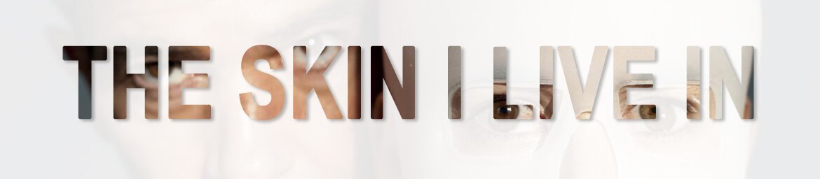 The Skin I Live In - top films of 2011